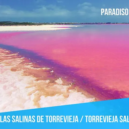 Baltic Paradise - Access - Seaview - Penthouse - Wifi - Air Conditioner - New - Special Offer * Torrevieja